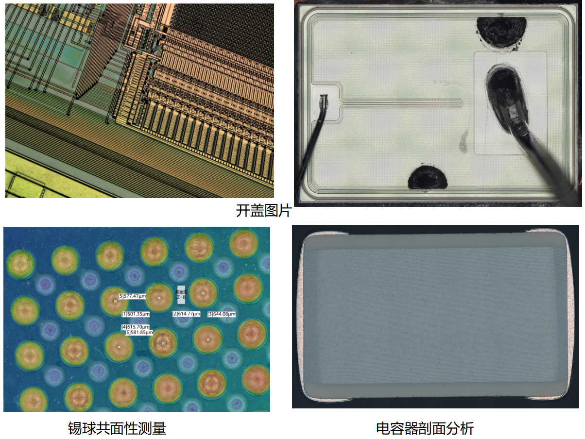 数码显微镜测试图片